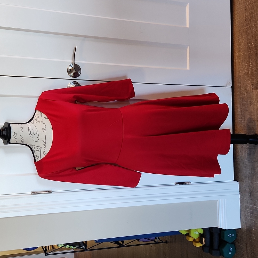 The Limited Red Skater dress